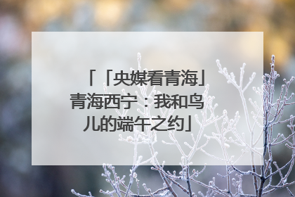 「央媒看青海」青海西宁：我和鸟儿的端午之约