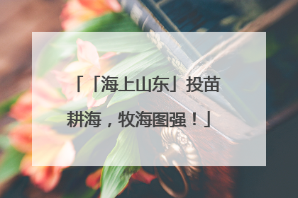 「海上山东」投苗耕海，牧海图强！