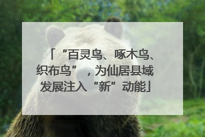 “百灵鸟、啄木鸟、织布鸟”，为仙居县域发展注入“新”动能