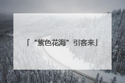 “紫色花海”引客来