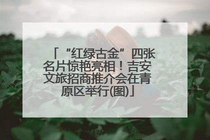 “红绿古金”四张名片惊艳亮相！吉安文旅招商推介会在青原区举行(图)