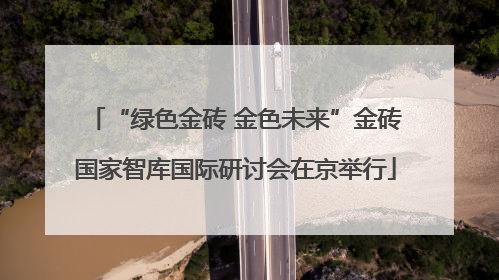 “绿色金砖 金色未来”金砖国家智库国际研讨会在京举行