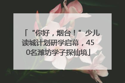 “你好，烟台！”少儿读城计划研学启幕，450名潍坊学子探仙境