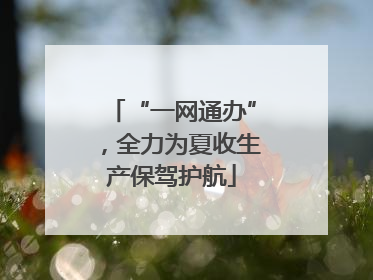 “一网通办”，全力为夏收生产保驾护航