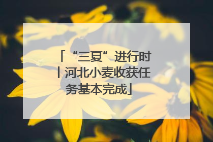 “三夏”进行时丨河北小麦收获任务基本完成