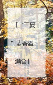 “三夏”麦香溢满仓