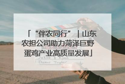 “伴农同行”｜山东农担公司助力菏泽巨野蛋鸡产业高质量发展