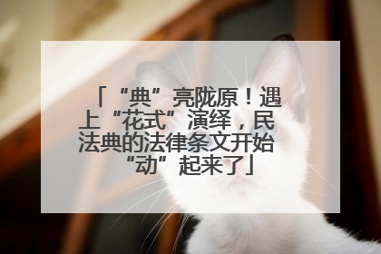 “典”亮陇原！遇上“花式”演绎，民法典的法律条文开始“动”起来了