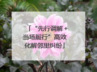 “先行调解＋当场履行”高效化解邻里纠纷