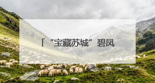 “宝藏苏城”碧凤坊有礼！新时代青年榜样喊话宝子们这个六一来平江街道