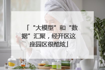 “大模型”和“数据”汇聚，经开区这座园区很酷炫