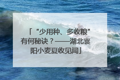 “少用种、多收粮”有何秘诀？——湖北襄阳小麦夏收见闻
