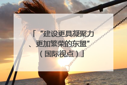 “建设更具凝聚力、更加繁荣的东盟”（国际视点）