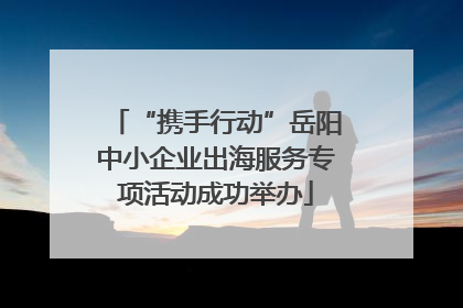 “携手行动”岳阳中小企业出海服务专项活动成功举办