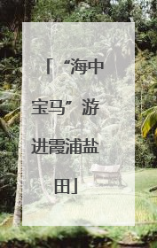 “海中宝马”游进霞浦盐田
