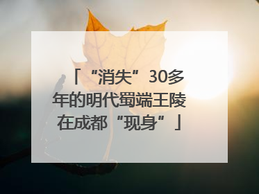 “消失”30多年的明代蜀端王陵在成都“现身”