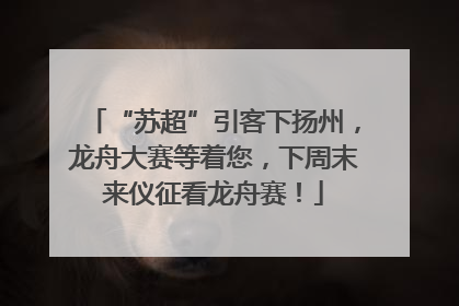 “苏超”引客下扬州，龙舟大赛等着您，下周末来仪征看龙舟赛！