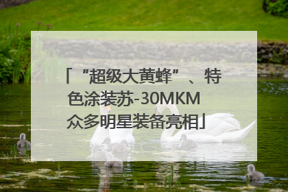 “超级大黄蜂”、特色涂装苏-30MKM 众多明星装备亮相
