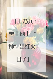 王乃兵：黑土地上“种”出红火日子