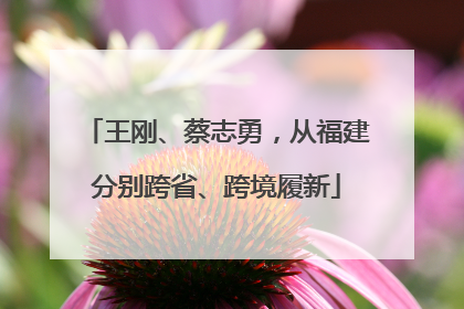 王刚、蔡志勇，从福建分别跨省、跨境履新