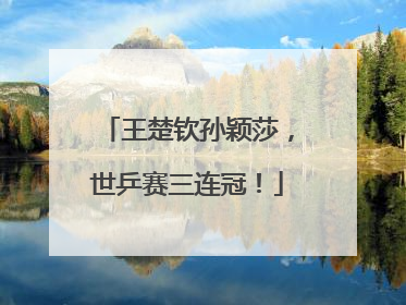 王楚钦孙颖莎，世乒赛三连冠！