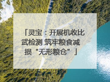 灵宝：开展机收比武检测 筑牢粮食减损“无形粮仓”