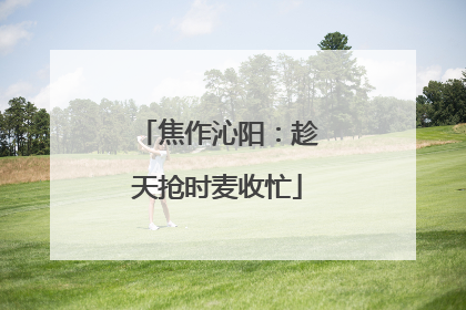 焦作沁阳：趁天抢时麦收忙