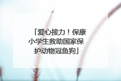 爱心接力！保康小学生救助国家保护动物冠鱼狗