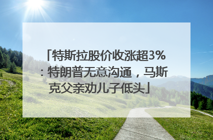 特斯拉股价收涨超3%：特朗普无意沟通，马斯克父亲劝儿子低头