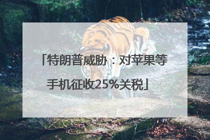 特朗普威胁：对苹果等手机征收25%关税