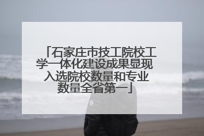石家庄市技工院校工学一体化建设成果显现 入选院校数量和专业数量全省第一