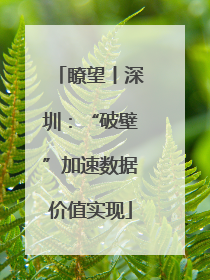 瞭望丨深圳：“破壁”加速数据价值实现