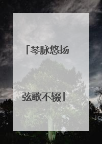 琴脉悠扬 弦歌不辍