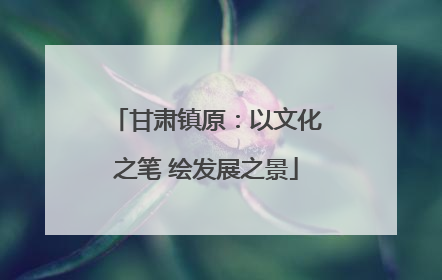 甘肃镇原：以文化之笔 绘发展之景