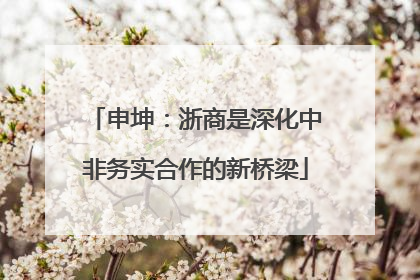 申坤：浙商是深化中非务实合作的新桥梁