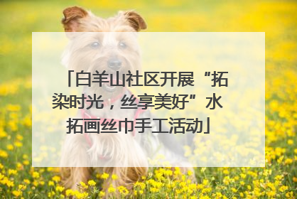 白羊山社区开展“拓染时光，丝享美好”水拓画丝巾手工活动