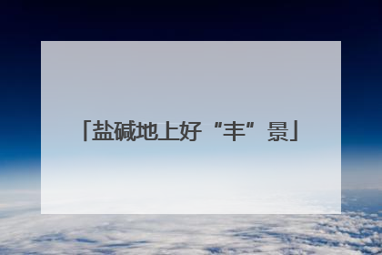 盐碱地上好“丰”景