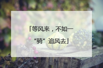 等风来，不如一“骑”追风去