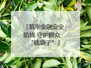 筑牢金融安全防线 守护群众“钱袋子”