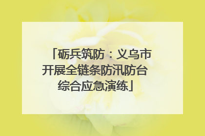 砺兵筑防：义乌市开展全链条防汛防台综合应急演练