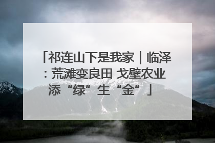 祁连山下是我家｜临泽：荒滩变良田 戈壁农业添“绿”生“金”