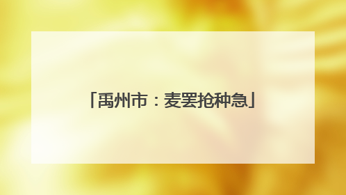 禹州市：麦罢抢种急