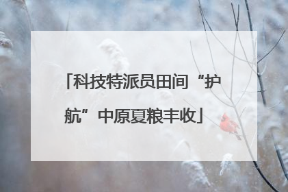 科技特派员田间“护航”中原夏粮丰收