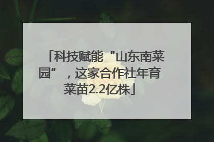 科技赋能“山东南菜园”，这家合作社年育菜苗2.2亿株