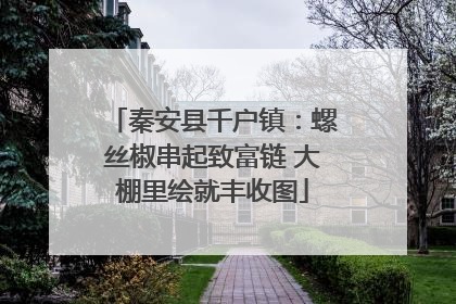 秦安县千户镇：螺丝椒串起致富链 大棚里绘就丰收图