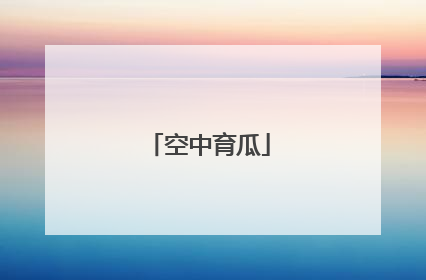 空中育瓜