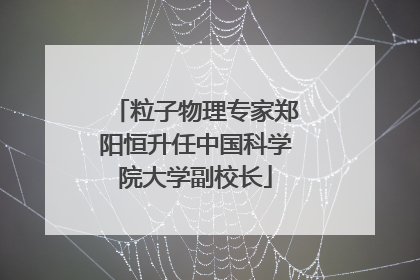 粒子物理专家郑阳恒升任中国科学院大学副校长