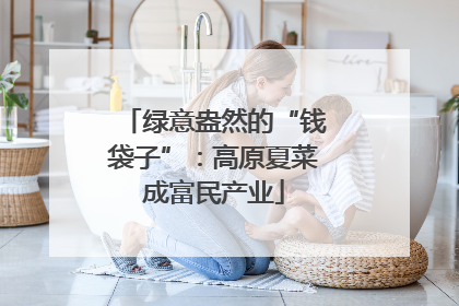 绿意盎然的“钱袋子”：高原夏菜成富民产业