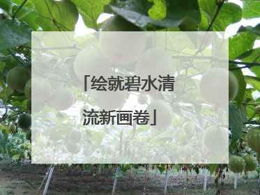 绘就碧水清流新画卷