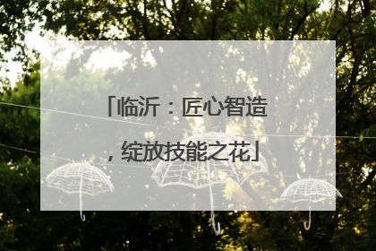 临沂：匠心智造，绽放技能之花